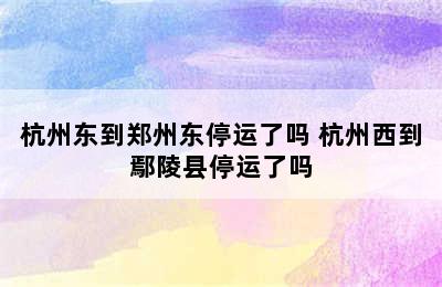 杭州东到郑州东停运了吗 杭州西到鄢陵县停运了吗